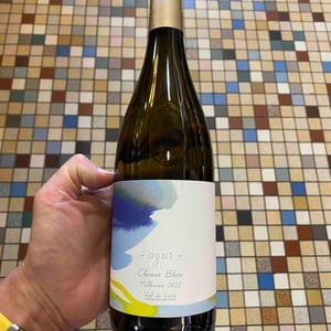 Azur - 1006 Vins de Loire - pauline-lair