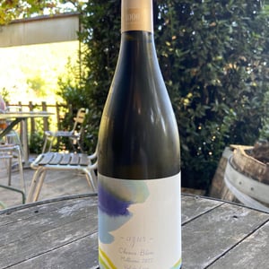 Azur - 1006 Vins de Loire - Pauline Lair 