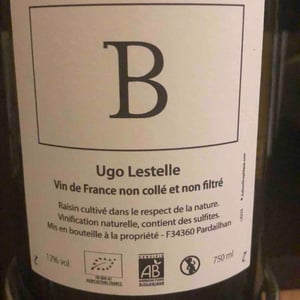 B - Ugo Lestelle - ugo-lestelle