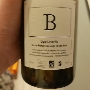 B - Ugo Lestelle - Ugo Lestelle 