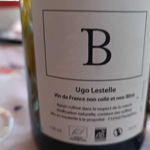 B - Ugo Lestelle - ugo-lestelle