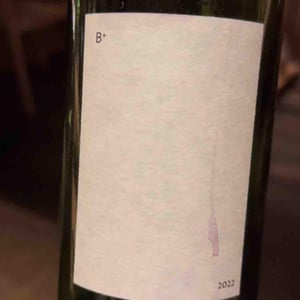 B+ - Kurisawa Wines - Kondo Vineyard & Nakazawa Vineyard - Kazuyuki & Yukiko Nakazawa, Ryosuke & Takumi Kondo -2022