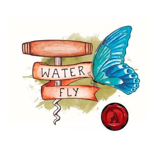 Waterfly Amphora - Celler Ca Foracaime - Sergi Serrano 