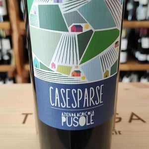 CaseSparse - PUSOLE - roberto-e-lorenzo-pusole -2024