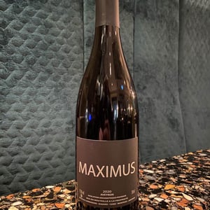 Maximus - Nicolas Carmarans - Nicolas Carmarans -2020