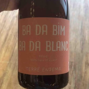 Ba da bim ba da blanc - Terre Ensems - Krystel Costes & Michel Bouisseren -2023