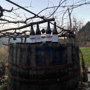 Domaine de L'Étranger - Paulo Almeida & Laura Rebeissi - Babel