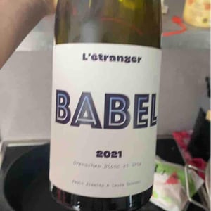 Domaine de L'Étranger - Paulo Almeida & Laura Rebeissi - Babel