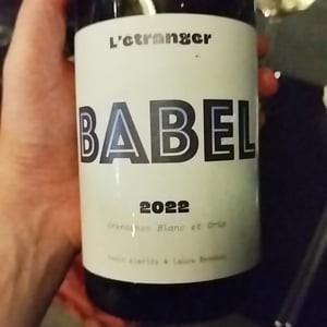 Babel - Domaine de L'Étranger - Paulo Almeida & Laura Rebeissi 