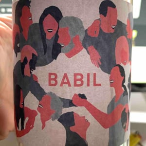 Babil - Domaine Brazilier - benoit-brazilier -2021