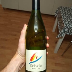 Andrea Calek - Andrea Calek et Stephana Nicolescu - Babiole