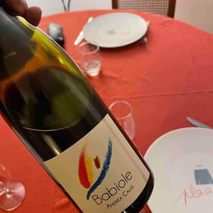 Andrea Calek - Andrea Calek et Stephana Nicolescu - Babiole