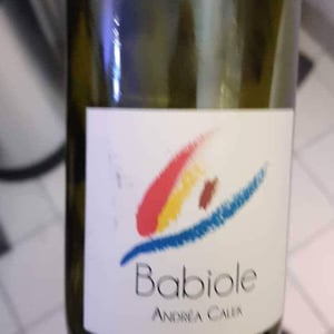 Andrea Calek - Andrea Calek et Stephana Nicolescu - Babiole