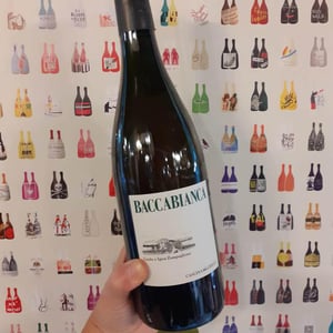 Baccabianca - Tenuta Grillo - guido-zampaglione