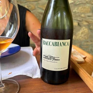 Baccabianca - Tenuta Grillo - Guido Zampaglione 