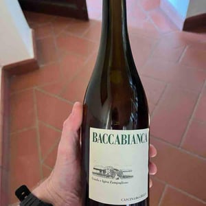 Baccabianca - Tenuta Grillo - Guido Zampaglione 