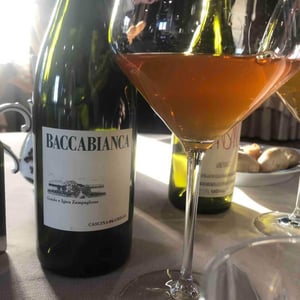 Baccabianca - Tenuta Grillo - Guido Zampaglione 