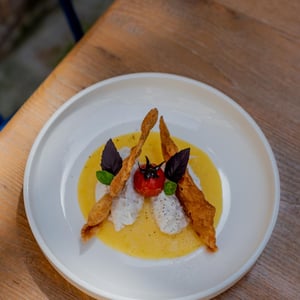 Baccalà Mantecato - Stappo - 653134