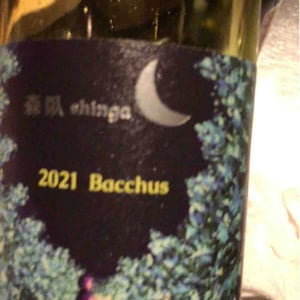 Shinga - Takebe Yuji - Bacchus