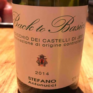 Back to Basics - Azienda Santa Barbara - Stefano Antonucci 