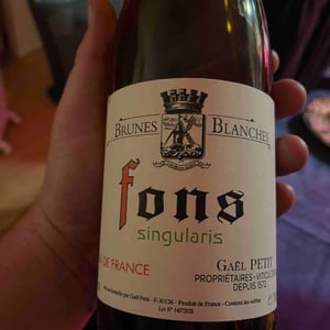Fons - Gael Petit - gael-petit