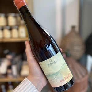 Pech De Rozies - Domaine Balansa - celine-peyre-alex-gressent
