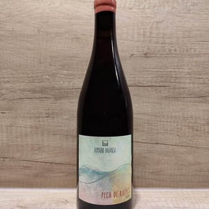 Pech De Rozies - Domaine Balansa - celine-peyre-alex-gressent