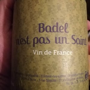 Badel n'est pas un Saint - La Tache - Fabien Bergeron 