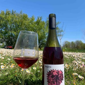 Bagarre - Fora Wines - Giovanni Bottazzi, Simone Fanton 