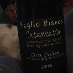 Vini Barraco - Antonino Barraco - Baglio Bianco