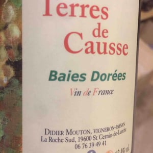 Baies Dorées 2014