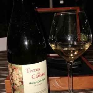 Baies Dorées - Terres de Causse - didier-mouton