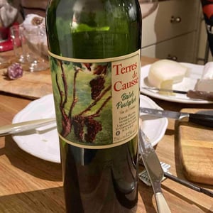 Baies Pourpres - Terres de Causse - didier-mouton -2015