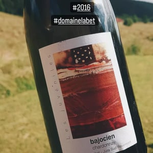 Les Juvéniles - Bajocien - Domaine Labet - julien-charline-romain-labet