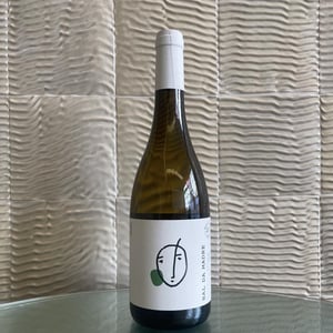 Bal da Madre 2019 - Miss Vitis Wine - Gil Taveira 