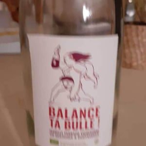 Côtes de la Molière - Isabelle & Bruno Perraud - Balance Ta Bulle