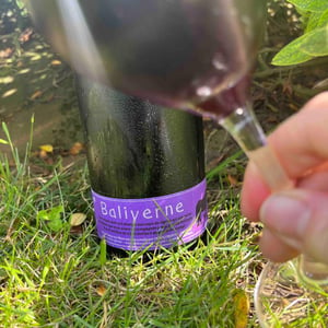 Baliverne - Domaine Deboutbertin - stephanie-vincent-deboutbertin