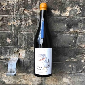 Balztanz Blanc - Von der Vogelwaide - daniel-vogelwaid-und-michael-donabaum