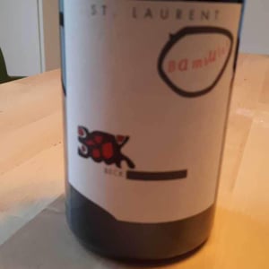 Weingut Beck - Judith Beck - Bambule ! Muskat