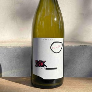 Bambule ! Muskat - Weingut Beck - Judith Beck 