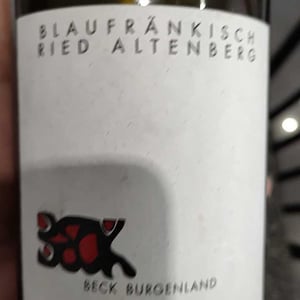 Bambule ! Pet Nat P (Golden) - Weingut Beck - judith-beck