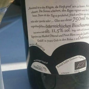 Bambule ! Pet Nat P (Golden) - Weingut Beck - judith-beck