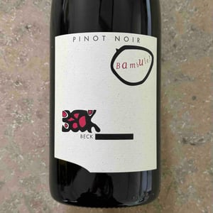 Bambule ! Pinot Noir - Weingut Beck - Judith Beck 