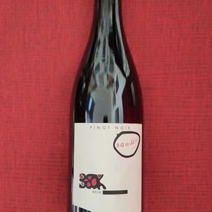 Bambule ! Pinot Noir - Weingut Beck - Judith Beck 