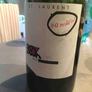 Bambule ! St. Laurent - Weingut Beck - judith-beck