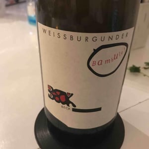 Bambule ! St. Laurent - Weingut Beck - judith-beck