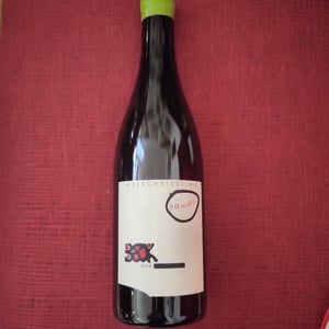 Bambule ! Welschriesling - Weingut Beck - judith-beck -2021
