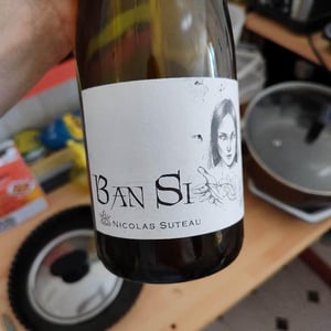 ban si - Nicolas Suteau - Nicolas Suteau -2020