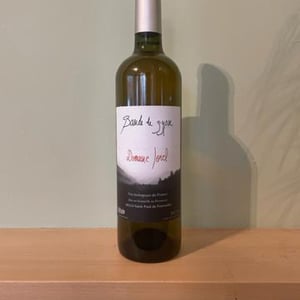 Bande de gypse - Domaine Jorel - Manuel Jorel -2021