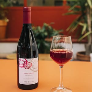Bangarang - Domaine Mosse - sylvestre-joseph-mosse